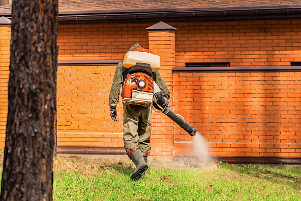Trusted Rodent Control service in Pike Road, AL - Nex Pest Control